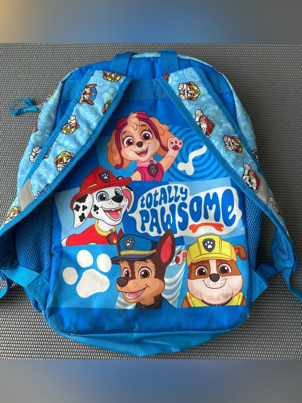 Paw Patrol Kids 3D Backpack Nickelodeon Pawsome Friends